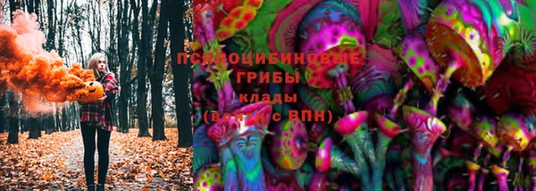 амф Аркадак