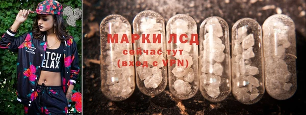 крисы Михайловск