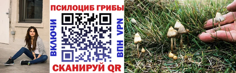 Галлюциногенные грибы Psilocybine cubensis  Обоянь 